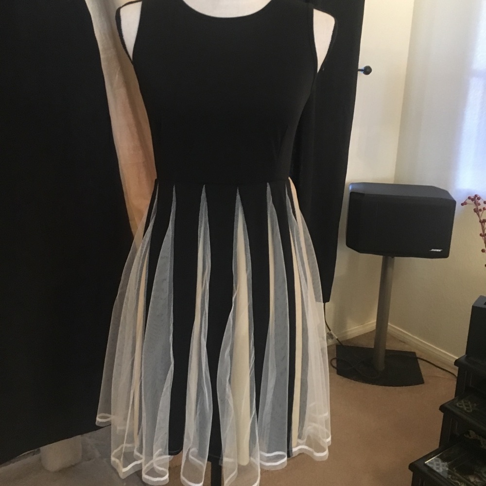 Pretty Black and Beige Dress